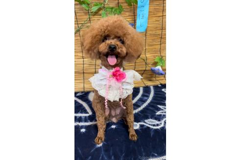 ミーナちゃん1枚目