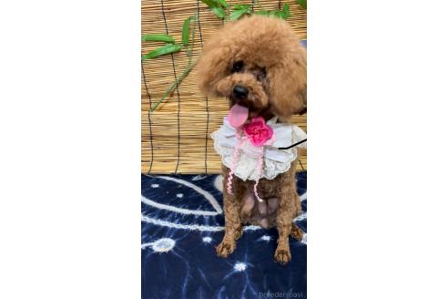 ミーナちゃん1枚目