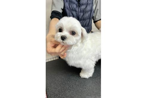 ソイくん1枚目