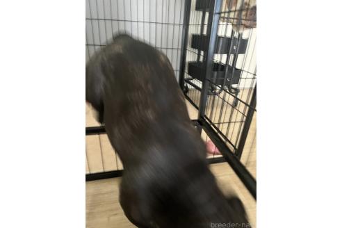 ちゃん1枚目
