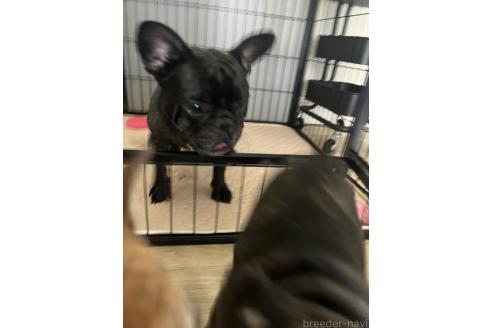 ちゃん1枚目