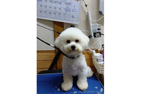 オーラちゃん1枚目