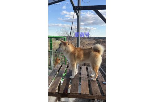 なつにちゃん1枚目