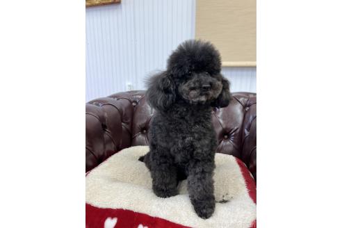 ねろちゃん1枚目