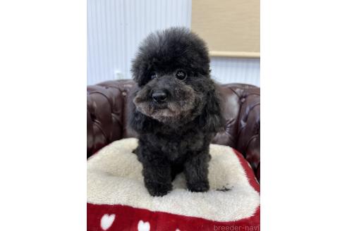 ねろちゃん1枚目