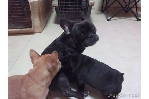 あずきちゃん1枚目