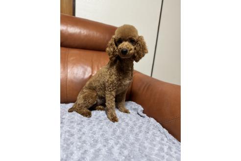イブちゃん1枚目