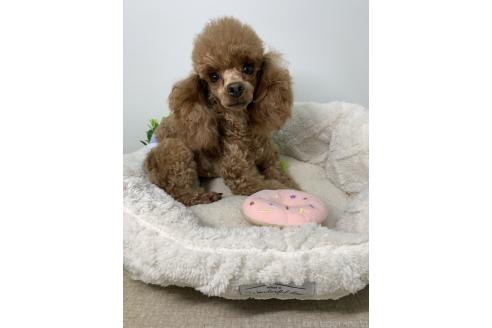 リンダちゃん1枚目