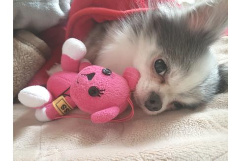 ルチア💙くん1枚目