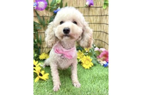 おとちゃん1枚目