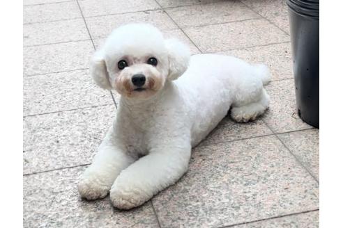 ちゃん1枚目