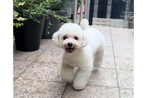 ちゃん1枚目