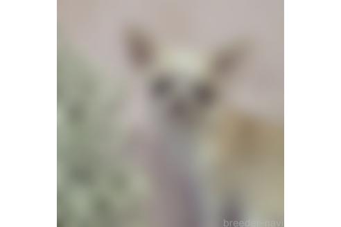 都貴ちゃん1枚目
