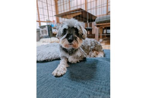 ミディちゃん1枚目