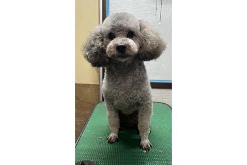 ルイくん1枚目