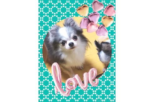 ルチア💙くん1枚目