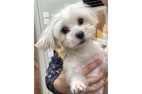 小耳ちゃん1枚目
