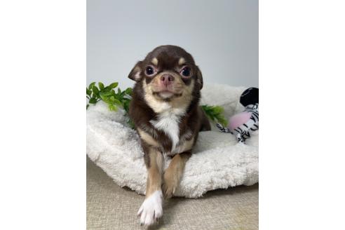 メイちゃん1枚目
