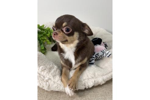 メイちゃん1枚目