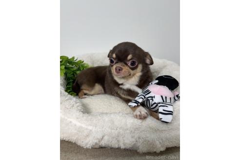 メイちゃん1枚目