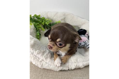 メイちゃん1枚目