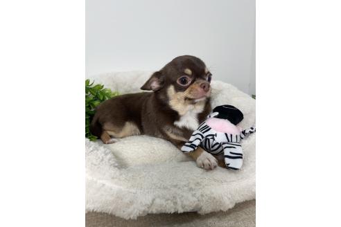 メイちゃん1枚目