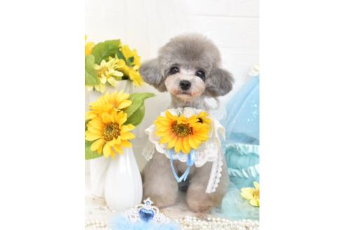 リナちゃん1枚目