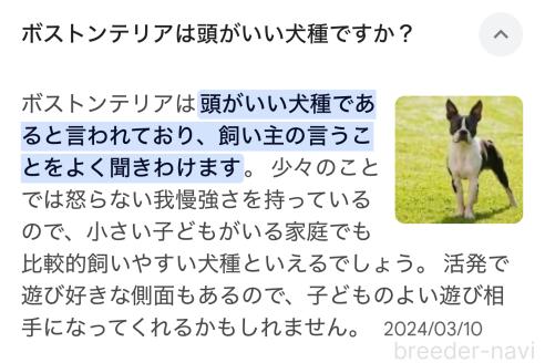 成約済の兵庫県のボストンテリア-372898の9枚目