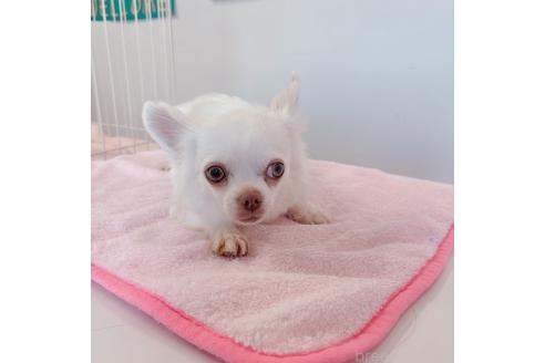 レンちゃん1枚目