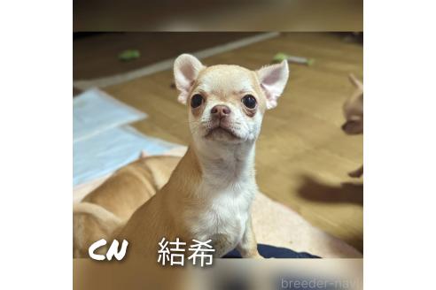 結希ちゃん1枚目