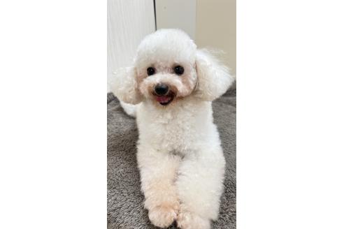 チビくん1枚目