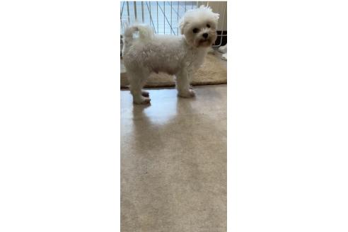ぺこちゃん1枚目