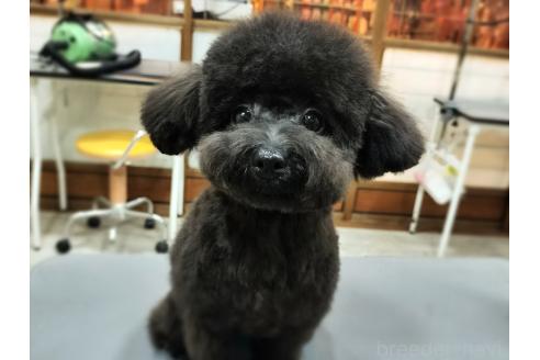 ボニーちゃん1枚目