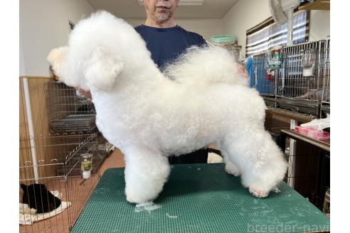 シンバくん1枚目