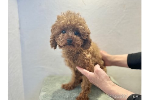 ちゃん1枚目