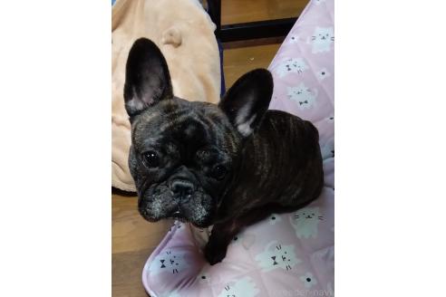 ちゃん1枚目