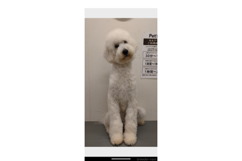 ソイちゃん1枚目