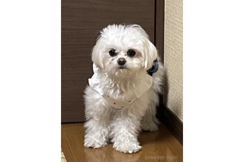 ららちゃん1枚目