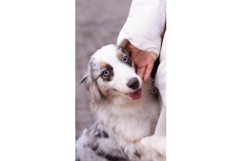 ちゃん1枚目