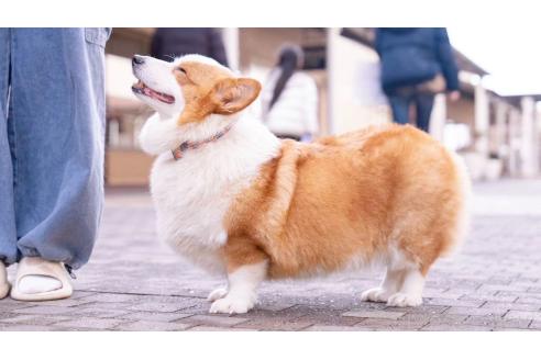 ちゃん1枚目