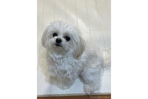 ららちゃん1枚目