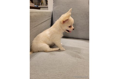 ちびちゃん1枚目