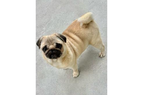 ののちゃん1枚目