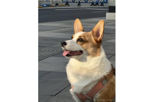 ちゃん1枚目