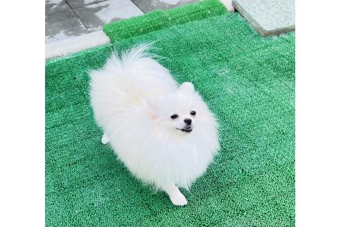 ちゃん1枚目