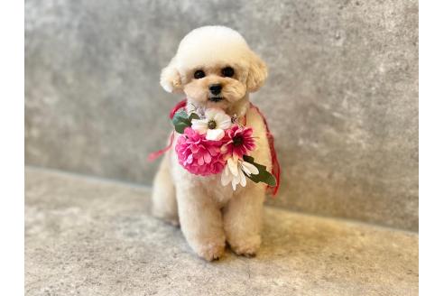 ちゃん1枚目