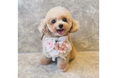 ちゃん1枚目