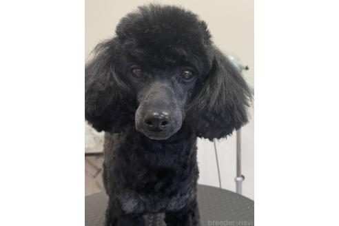 ケイトちゃん1枚目