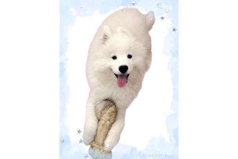 ERICくん1枚目