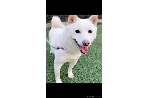 さくらちゃん1枚目